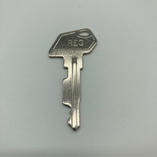 SAM4S 'REG' KEY